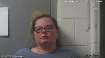 Michelle L Doyle Mugshot