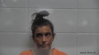 Michelle  Goodwin Mugshot