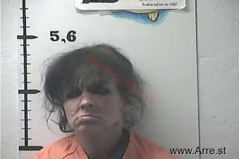 Michelle C Howard Mugshot