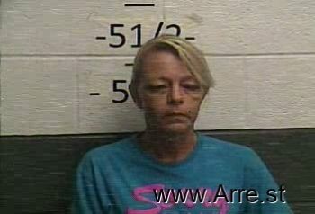 Michelle Lynn Irvin Mugshot