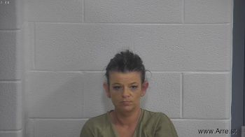 Michelle L Jones Mugshot