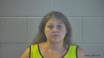 Michelle L Price Mugshot