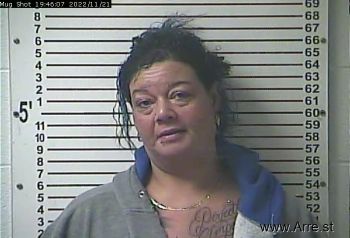 Michelle Lynn Williams Mugshot