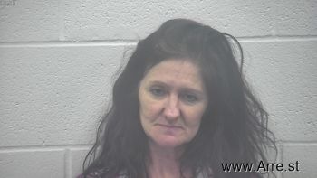 Michelle Ann Williams Mugshot