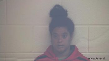 Michelle Micheal Wilson Mugshot