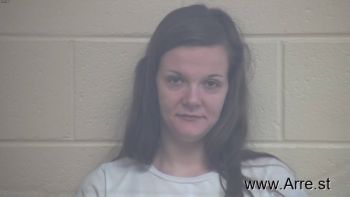 Missy Ann Dillingham Mugshot