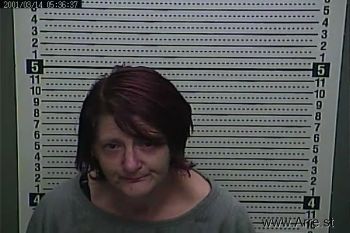 Misty  Adkins Mugshot