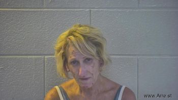 Misty Doylena Ison Mugshot