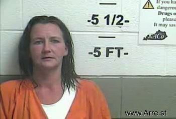 Misty Lynn Johnson Mugshot