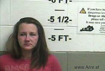 Misty Lynn Johnson Mugshot