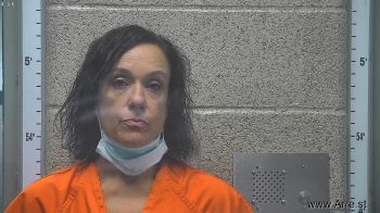 Misty Dawn Johnson Mugshot