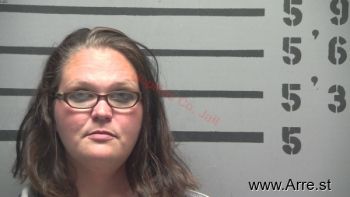 Misty Renea Johnson Mugshot