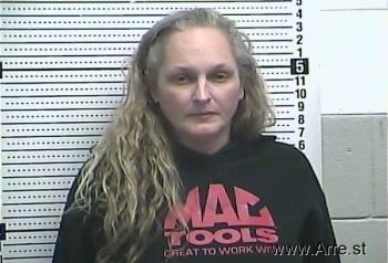 Misty D Lawson Mugshot