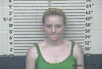 Misty D. Meadows Mugshot