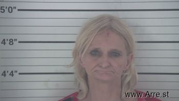 Mitzi Ann Hensley Mugshot