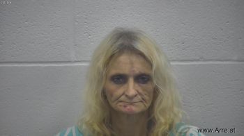 Mitzi Ann Hensley Mugshot