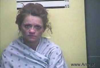 Monica Lynn Perkins Mugshot