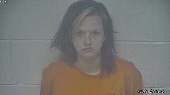 Morgan Ann Dickey Mugshot