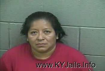 Marlene Nolasco   Mugshot