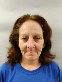 Marsha Lane Hendrickson Mugshot