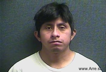 Martin  Perez Perez Mugshot