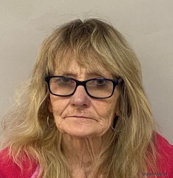 Mary Ann Hawkins Mugshot