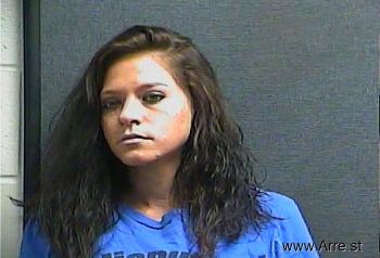 Megan L Mcclanahan Mugshot