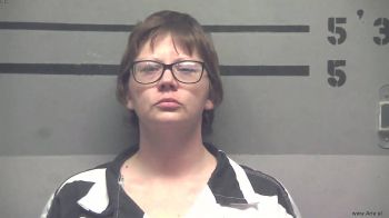 Megan  Smith Mugshot