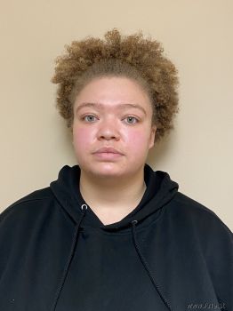 Melissa Leann Davis Mugshot