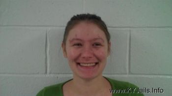 Melissa Delaine Clerk   Mugshot