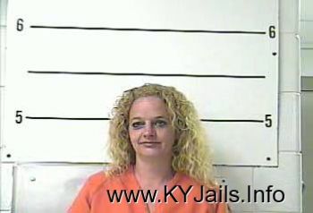 Melissa Kay Daniels   Mugshot