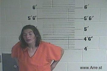 Melissa M Lewis Mugshot