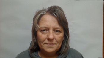 Melissa L Strunk Mugshot