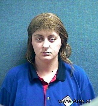 Michelle Lynn Akins Mugshot