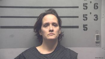 Michelle  Anderson Mugshot