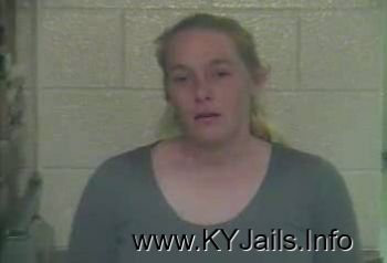 Michelle Ann Saylor   Mugshot