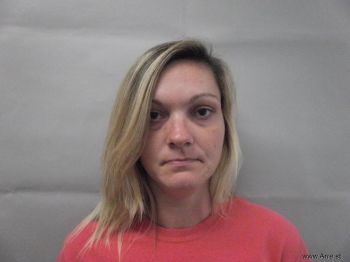 Michelle L Boring Mugshot