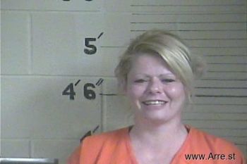 Misty N Howard Mugshot