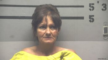 Misty  Johnson Mugshot