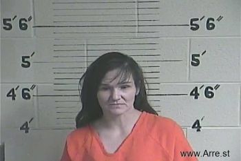 Misty D Wilson Mugshot