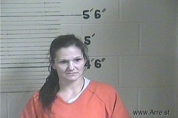 Misty D Wilson Mugshot