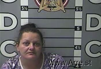 Nancy Ann Howard Mugshot