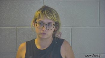 Natasha Nichole Lasko Mugshot