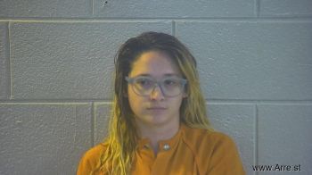 Natasha Nichole Lasko Mugshot