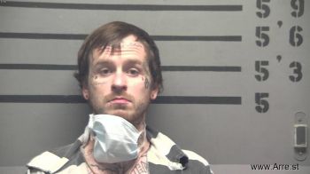 Nathaniel Ray Holland Mugshot