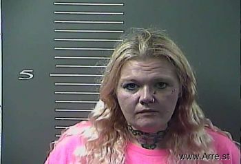 Nicole Marie Blevins Mugshot