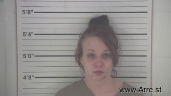 Nicole Lynn Hopkins Mugshot