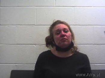 Nicole Lynn Hopkins Mugshot