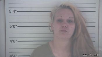 Nicole Lynn Hopkins Mugshot