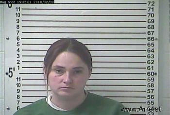 Nicole Lorraine Lewis Mugshot